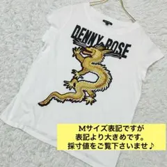DENNY ROSE 龍の刺繍Tシャツ M ドラゴン 刺繍 ワッペン 大きめのサムネイル