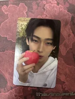 ENHYPEN ソヌ THE SIN:VANISH トレカ