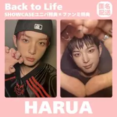 &TEAM HARUA Back to Life ショーケース ファンミ トレカ