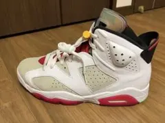 ナイキ エアジョーダン6 レトロ オルタネイト ヘア