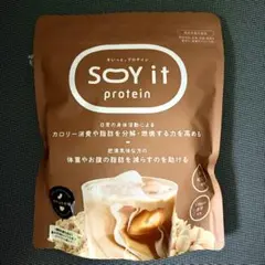 Rintosull（リントスル）ソイプロテイン 味噌汁 560g - メルカリ