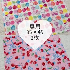 【専用】ランチョンマット 35×45 2枚セット　お花ちょうちょ柄　チェリー