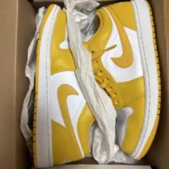 ⭐️超美品⭐️Nike Air Jordan 1レトロ パラン NIKE ナイキ AIR JORDAN1 RETRO HIGH OG POLLEN エアジョーダン