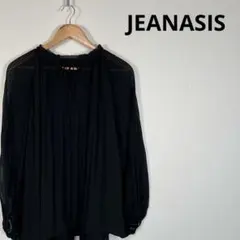 JEANASIS ジーナシス シアー プリーツブラウス 黒 F
