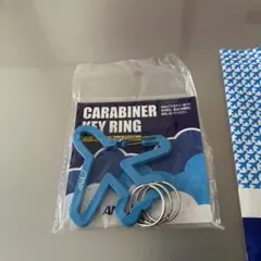 Item thumbnail for item 4a518770-3a6a-4a0d-9e77-b950f6b448d4