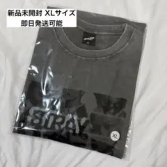 StrayKids RUNIT JAPAN 포토 T셔츠 그레이 XL ①