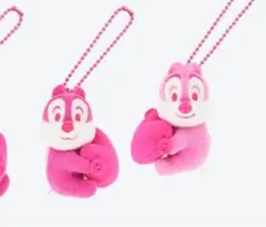 ディズニーランド パルパル ミニファン ミニパル