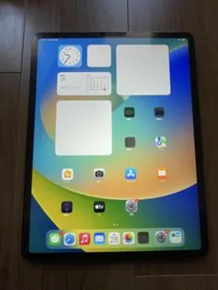 c*k様 ipad pro12.9 3世代　256GB WIFIモデル 美品　完