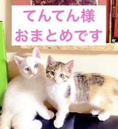 てんてん様 リクエスト 6点 まとめ商品