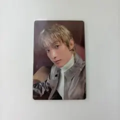 seventeen DxS Serenade ECHO 封入 トレカ ドギョム