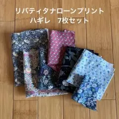 Item thumbnail for item 1e3a0aa5-5f49-44f4-afad-0088a6d8b44c