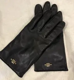 手袋　coach