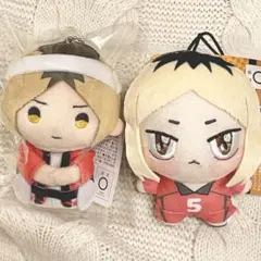 ハイキュー　孤爪研磨　指の上　夏　ちょぴぬいぷち　ぬいぐるみ　マスコット