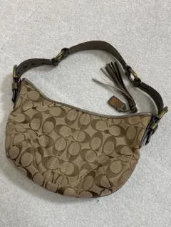 9781. COACH ワンショルダーバッグ シグネチャー パイソン柄 Y2K