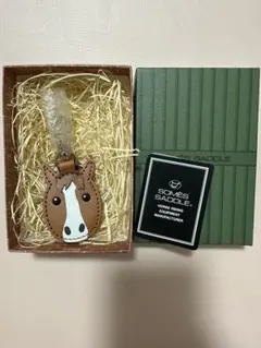 Item thumbnail for item 05373986-a4c6-4b34-8a3d-c0a13fb33529