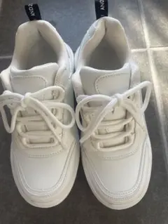 Item thumbnail for item bc357d75-1442-418d-8d13-fa9350661c5f