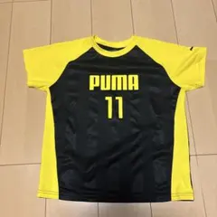 PUMA ストライプTシャツ サイズ11