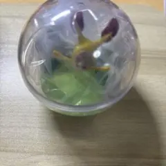 こびとづかん カプリウムコレクション ホトケアカバネ