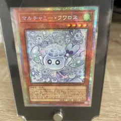 マルチャミー・フワロス　プリシク　【あんしん鑑定付】 マルチャミー フワロス」の激安通販 | magi