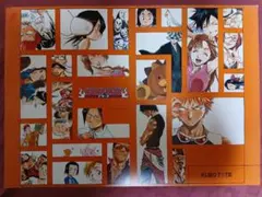 BLEACH ポスター