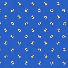 【こねぎ様】
