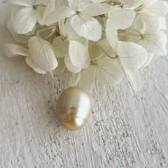 美品❣️南洋真珠バロックゴールド ヘッド - メルカリ