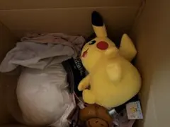 Item thumbnail for item df5f79ce-46af-4573-bb4c-11a0a1204278