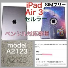 iPad Air3 第3世代 セルラー SIMフリー 64GB 最新OS