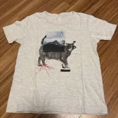 う*。様 graniph 猫グラフィックTシャツ Sサイズ