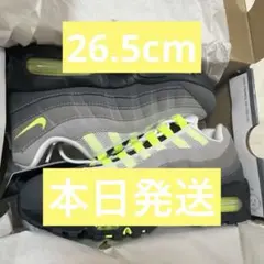 NIKE AIR MAX 95 イエローグラデ2026年モデル26.5センチ