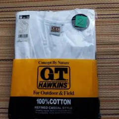 G.T. HAWKINS VネックTシャツ Mサイズ　2枚