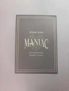Stray Kids Seungmin MANIAC トレカ