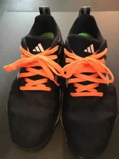 Item thumbnail for item d0091ff2-244d-4dea-9822-4c2f8063be58