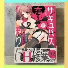 ( ˊ̱˂˃ˋ̱ )様 リクエスト 2点 まとめ商品