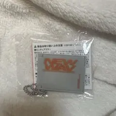 TREASURE NEW WAV カプセルトイ ミニチュアミラー