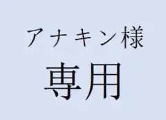 アナキン様 専用　2足セット
