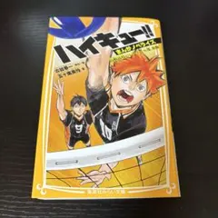 ハイキュー!! 文庫版 (しおり付き)