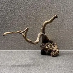 ADA ブランチウッド 流木 約37×23×22cm アクアリウム レイアウト
