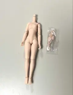 オビツボディ22 ナチュラルS胸
