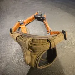 Item thumbnail for item 375217cb-c0f0-4a16-aa27-f413168e9a8a