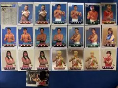 プロレス　BBM プロレスカード　22枚