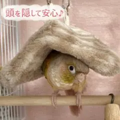 Item thumbnail for item 4d4e03c6-0b95-4d5b-9d1b-fae9b5d7457e