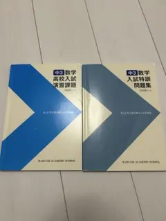 中3 数学 演習問題集と特訓問題集 セット