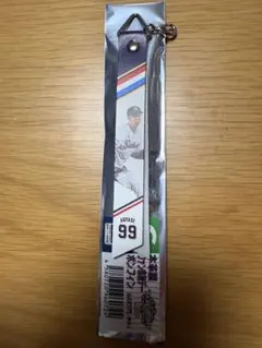 ヤクルト　2025 ファン感謝デー　ボンフィン　青柳