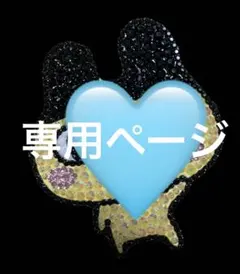 専用ページ