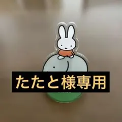 【たたと様専用】ミッフィー　メモスタンド