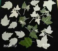 Item thumbnail for item 63f64f19-02dc-4506-8ef8-4caa840ce8c2