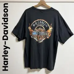 《Harley-Davidson》ファイヤーパターン Tシャツ フェード