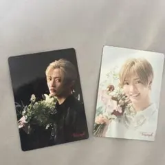 トリンプ×佐藤新 （IMP.）2枚セット 非売品カード 【あなたの胸に花束を。】