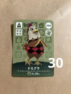 amiibo カード　あつ森　どうぶつの森　ドミグラ